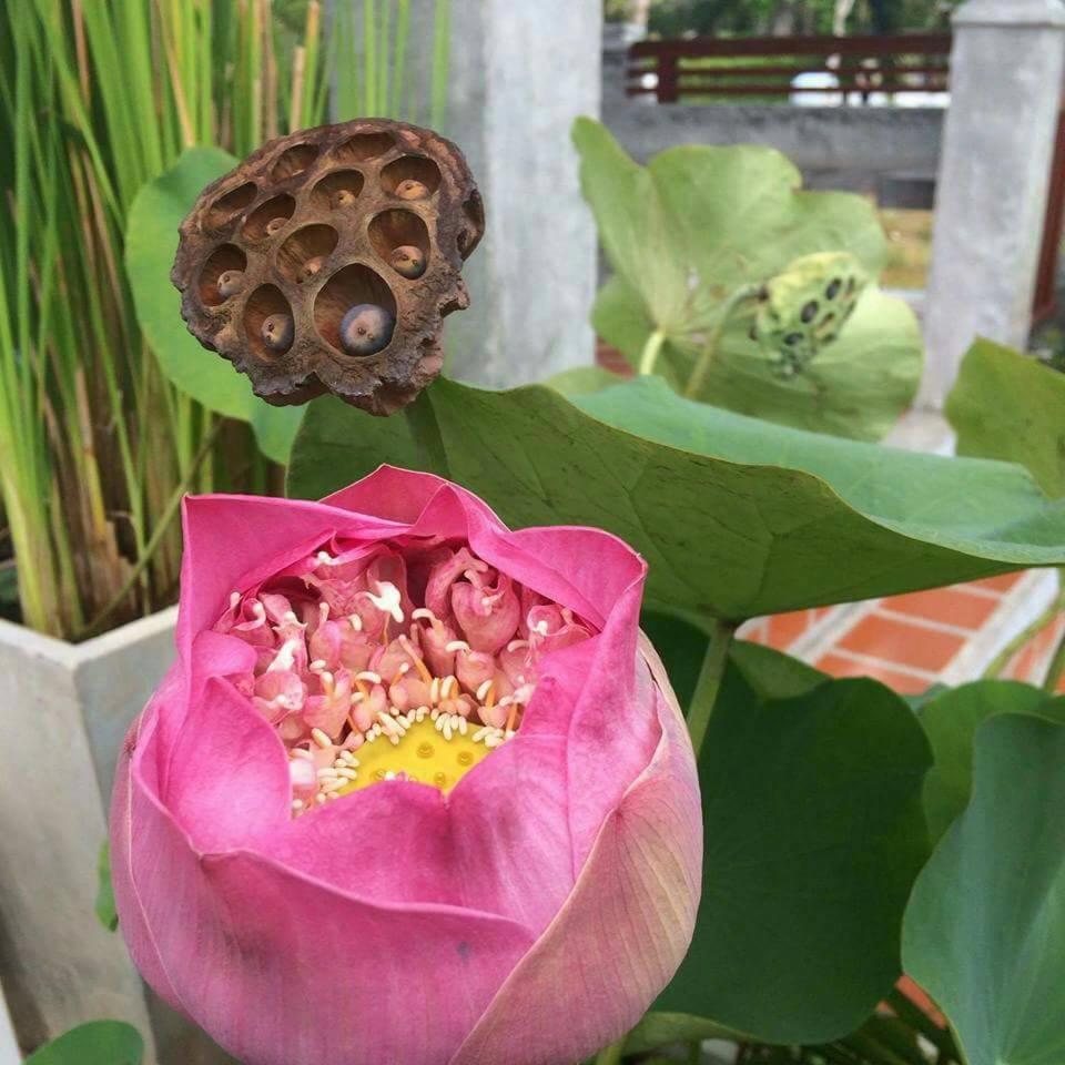 Arthaya Villas - Sha Extra Plus Ko Lanta Exteriér fotografie