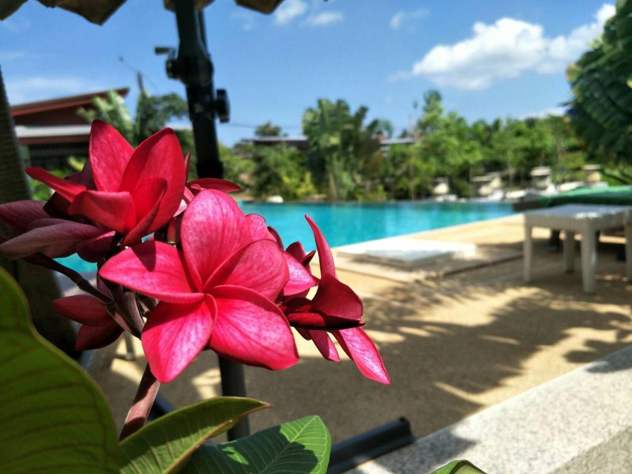 Arthaya Villas - Sha Extra Plus Ko Lanta Exteriér fotografie